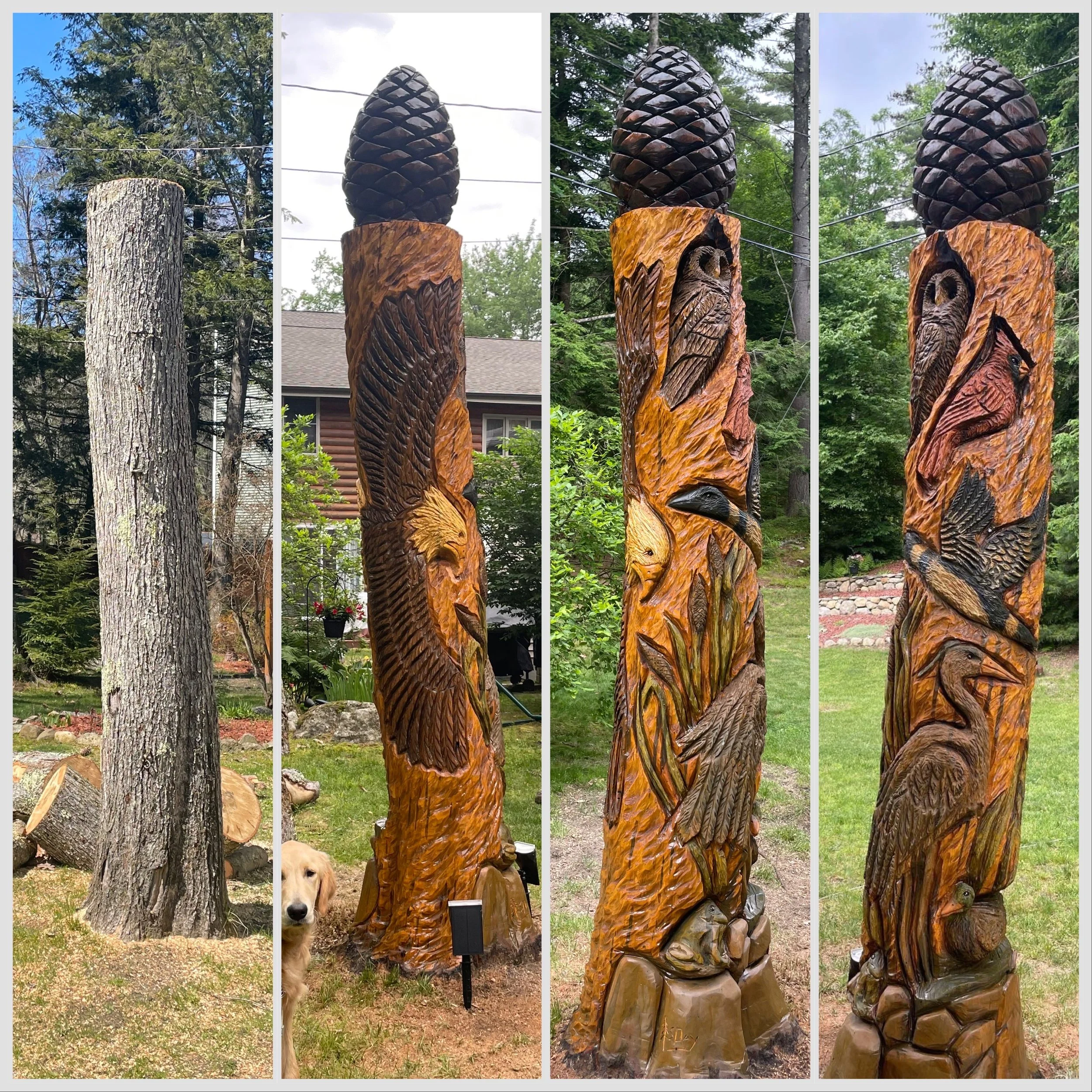 Onsite Carving - Baboosic Lake