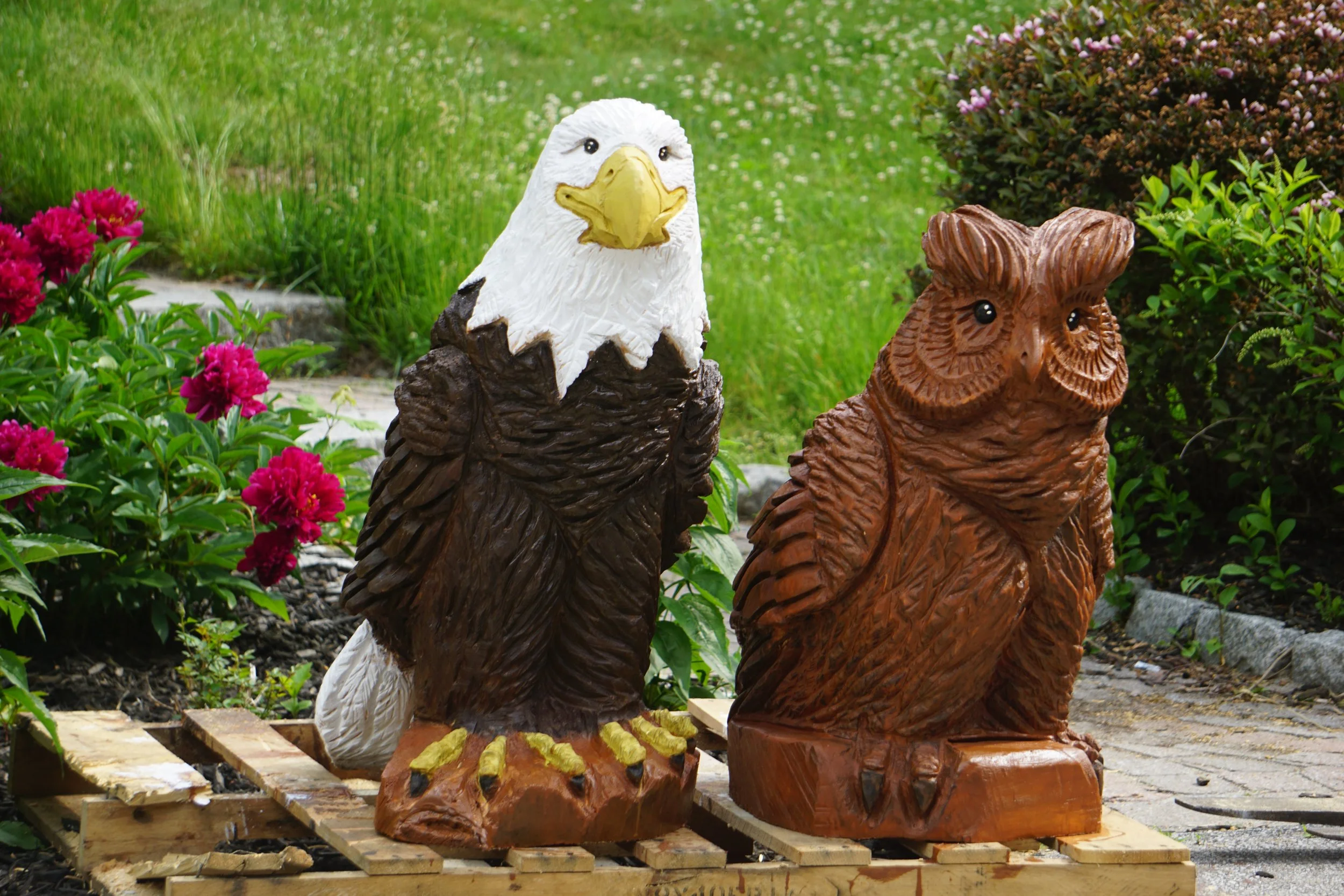 Eagle &amp; Owl