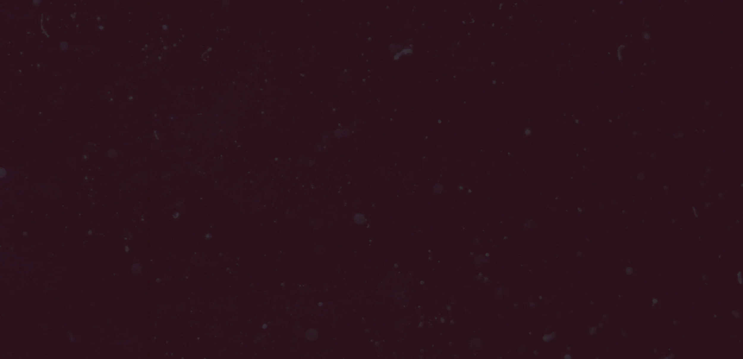 Header Back 01.jpg