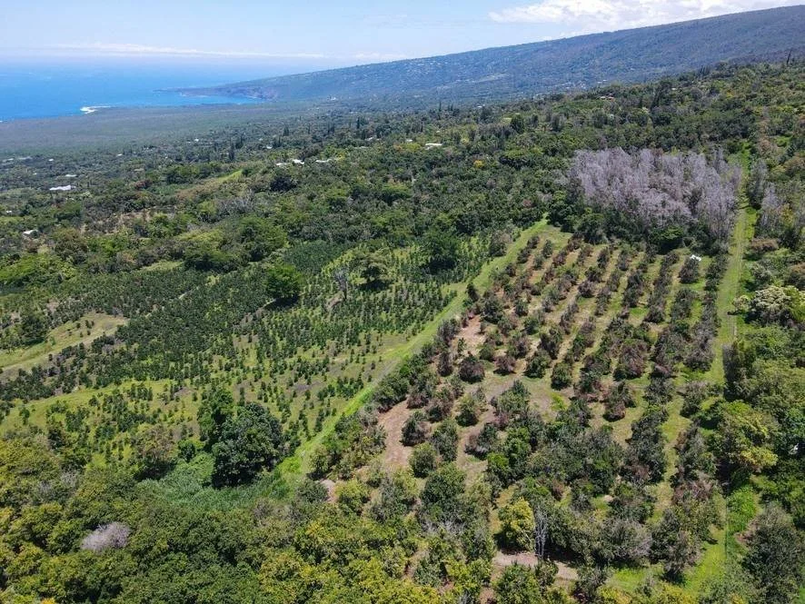 84-1178 Telephone Exchange - Big Island