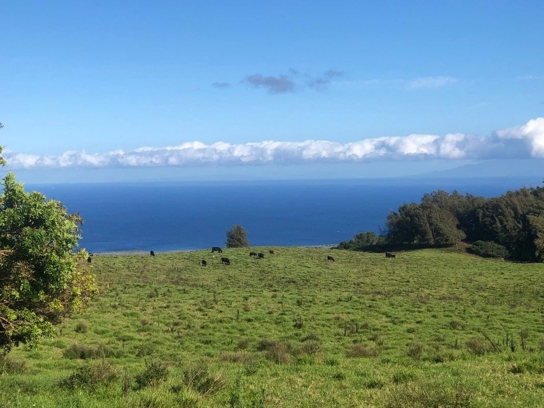 Ag Land in Hawi, Hawaii