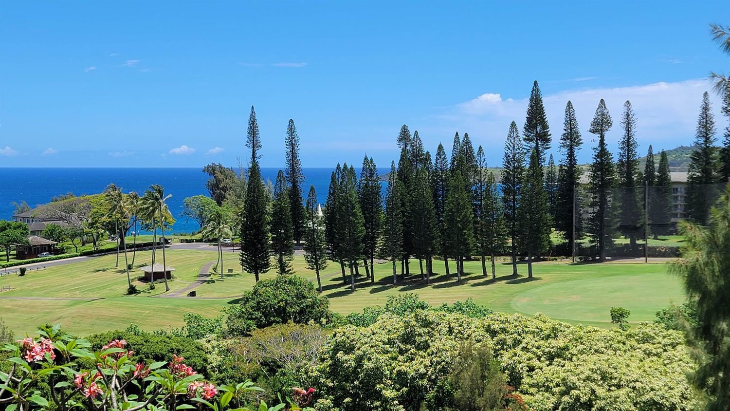 100 Ridge Rd #724 - Kapalua - Maui