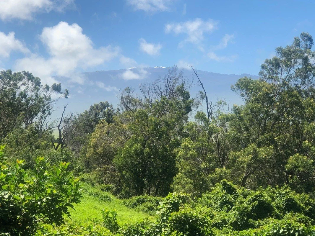 Land in KAMUELA, Hawaii