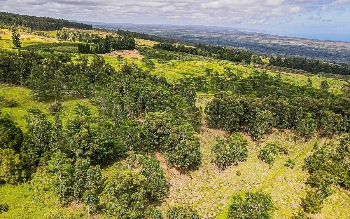 Vacant Lot in Pahala, Hawaii