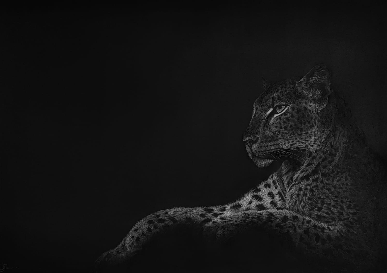 Contemplation