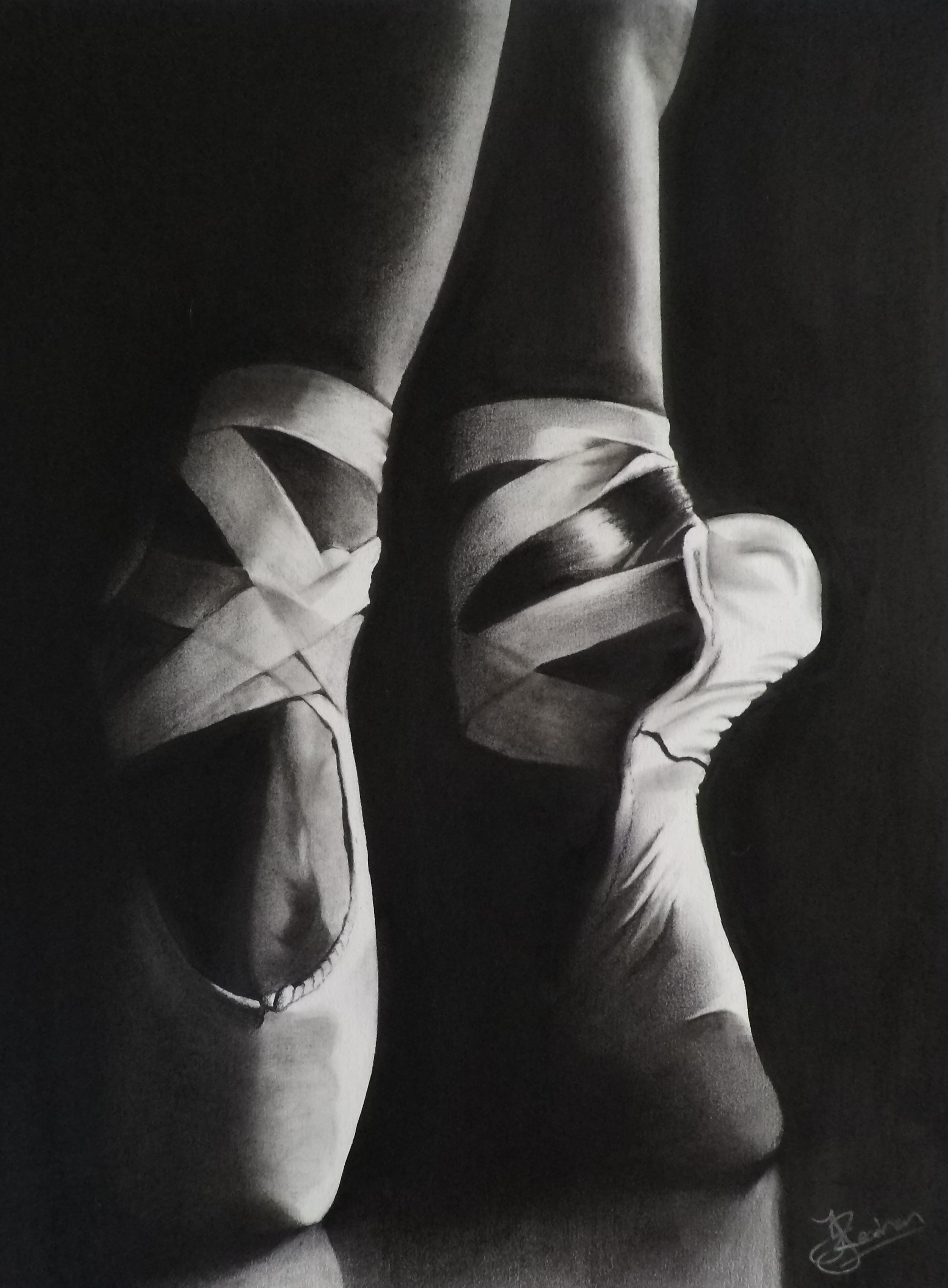 Still Life & Form