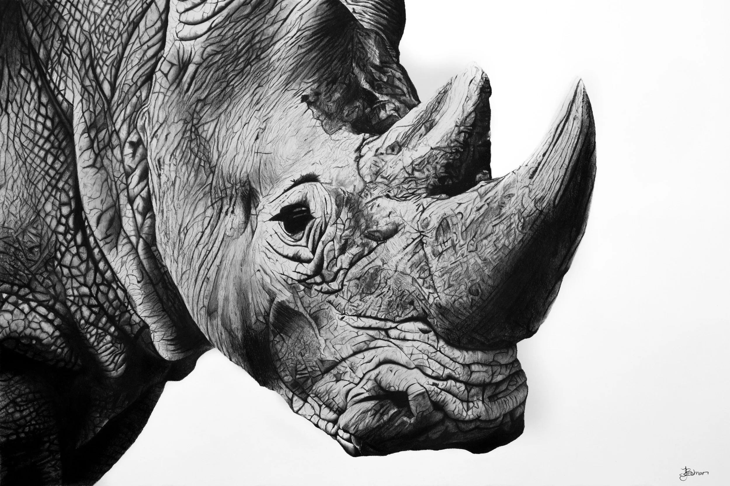 Content - Rhino (1).jpg