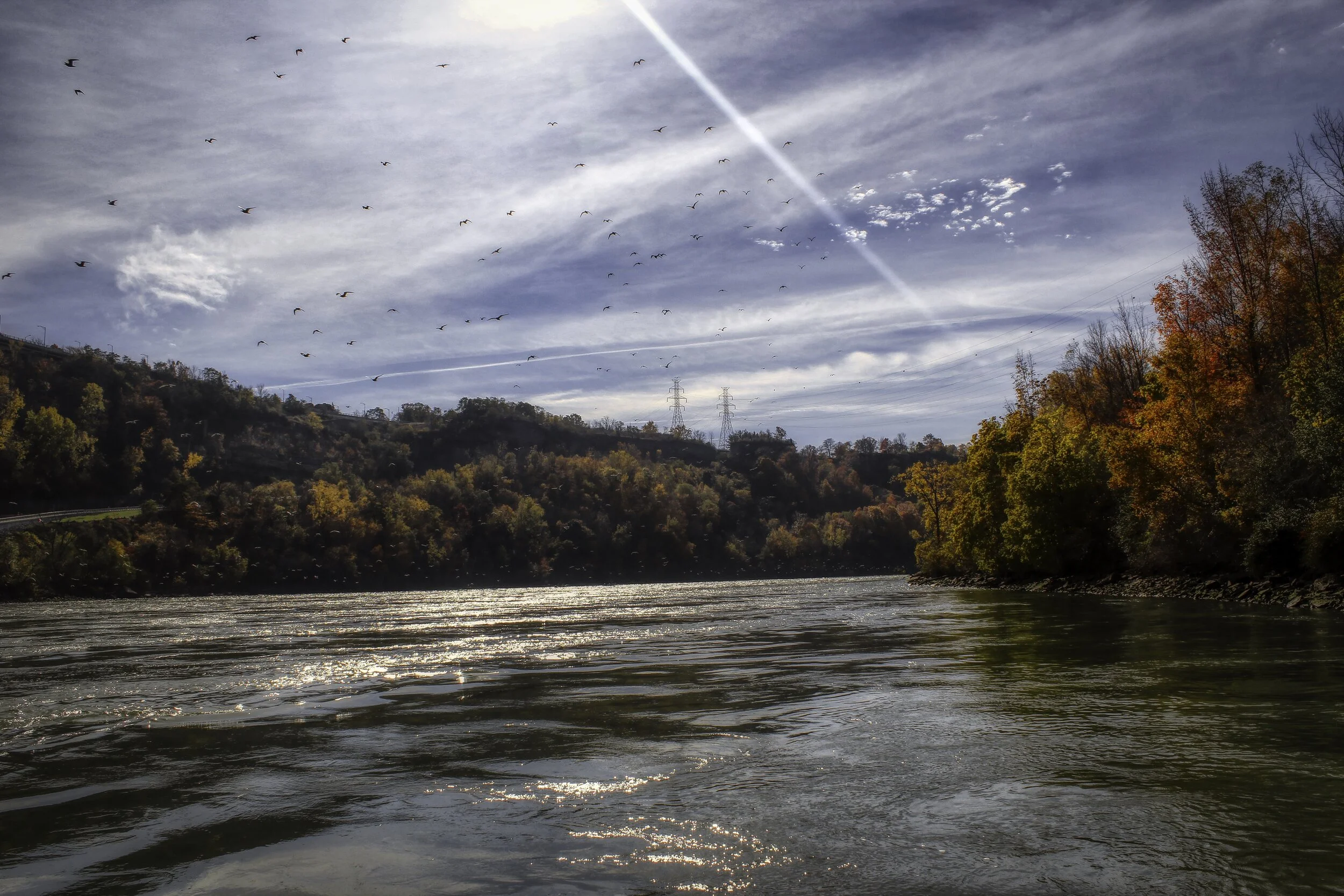 lower niagara river.jpeg