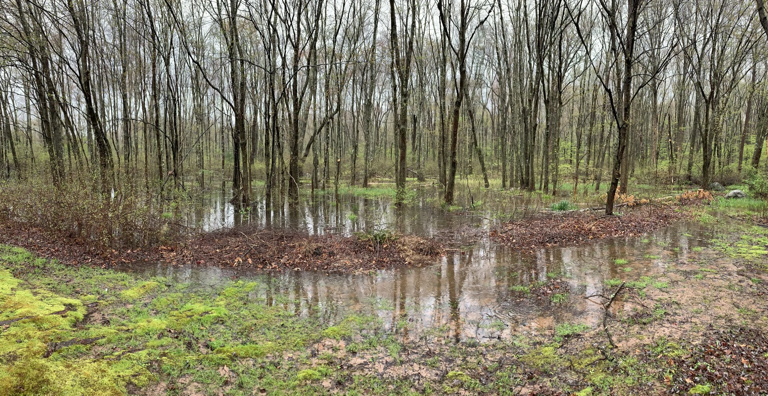 An Open Letter to the Farmington Planning & Zoning Board... — Don "db