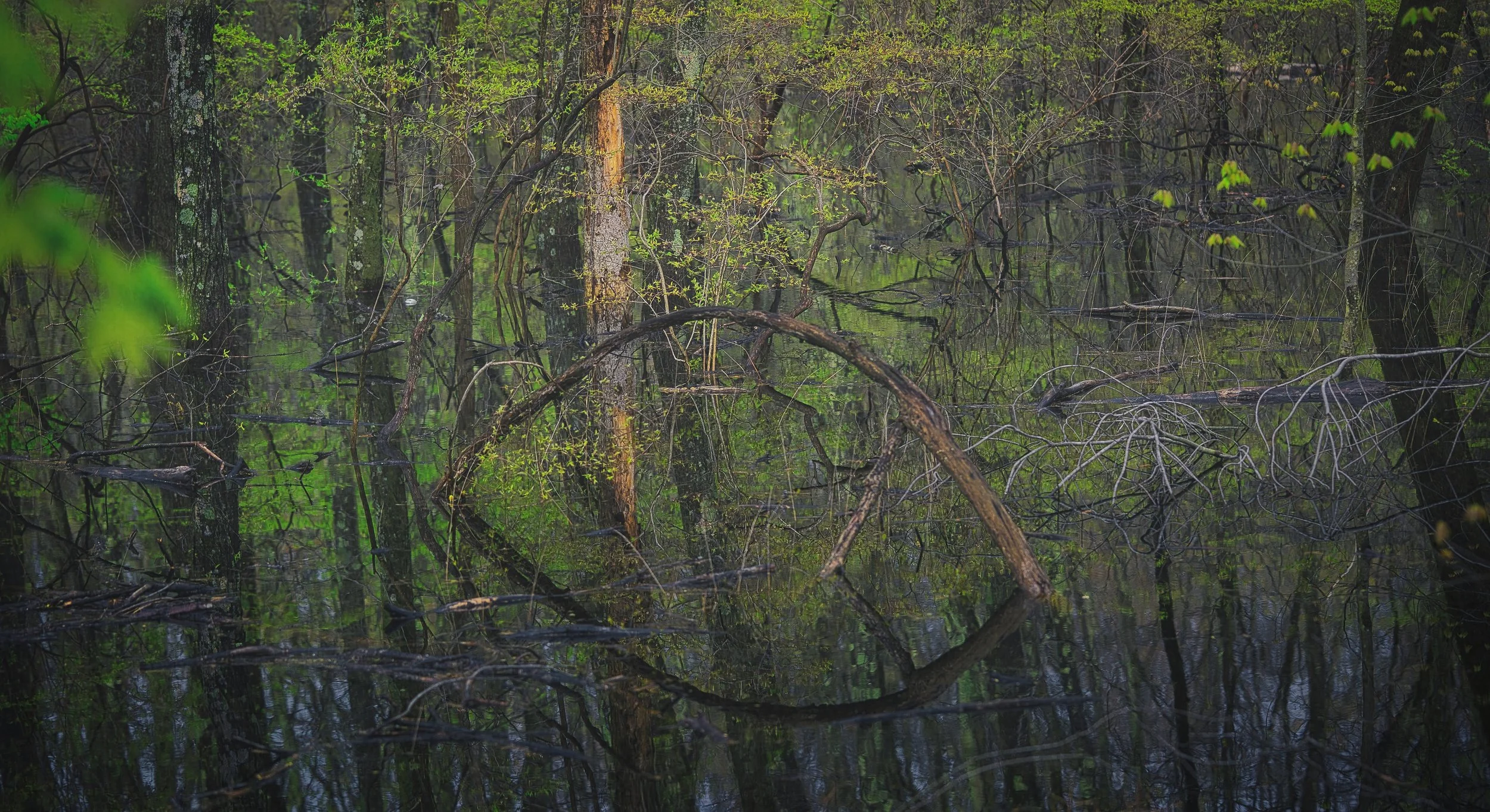 What's Changed Farmington Planning & Zoning... — Don "db" Barone