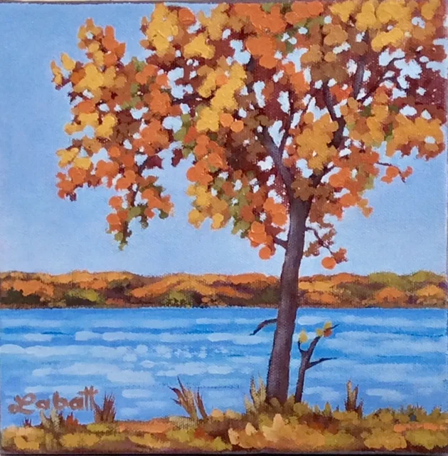 FALL SPLENDOR