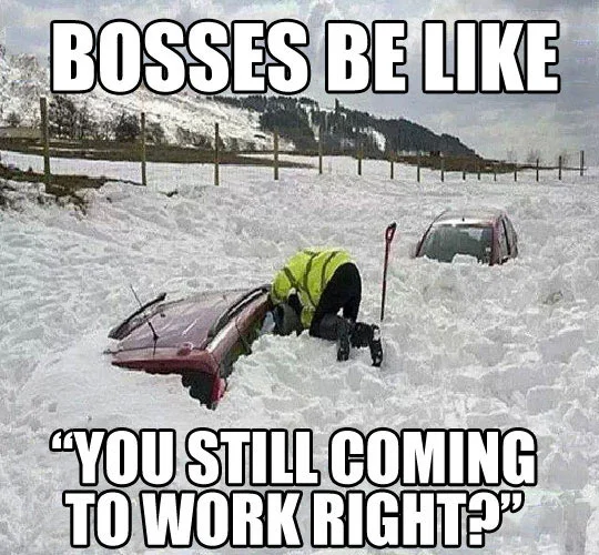 cold weather meme.jpg