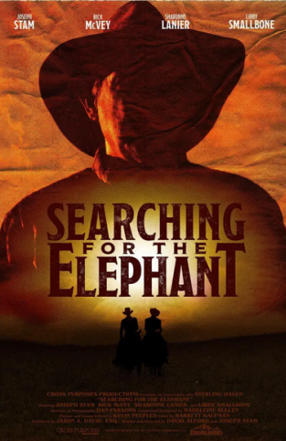 Searching for the Elephant
