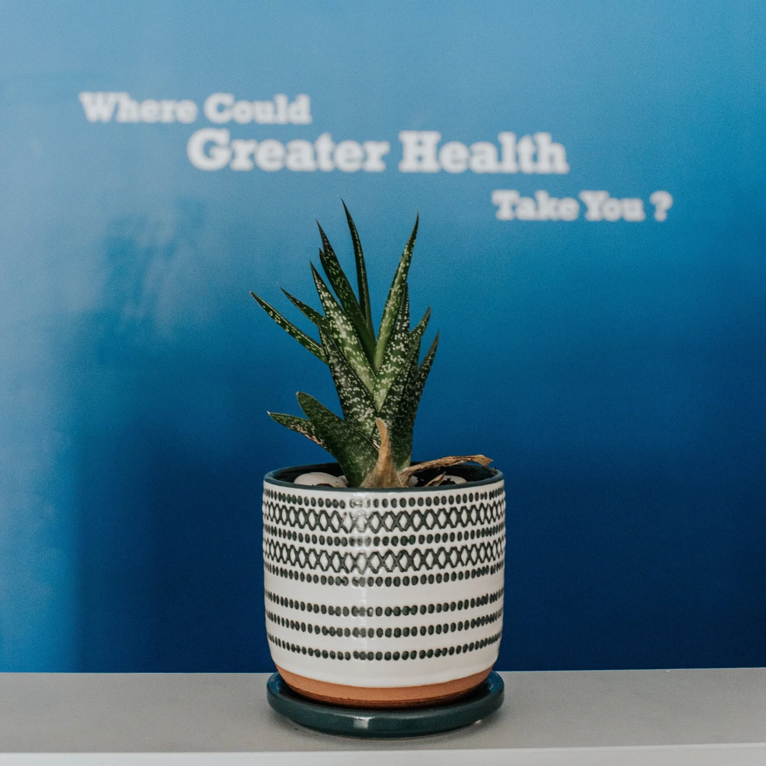 Home — Explore Health & Wellness