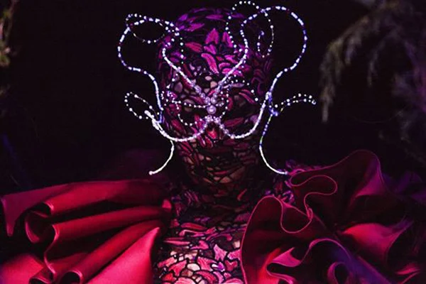 Björk - Day for Night Texas