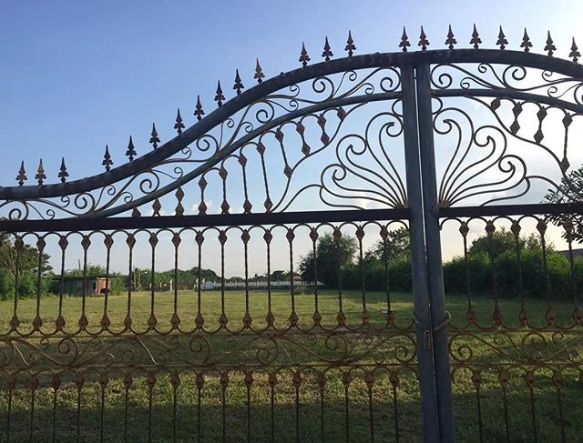 Exploring my new neighborhood