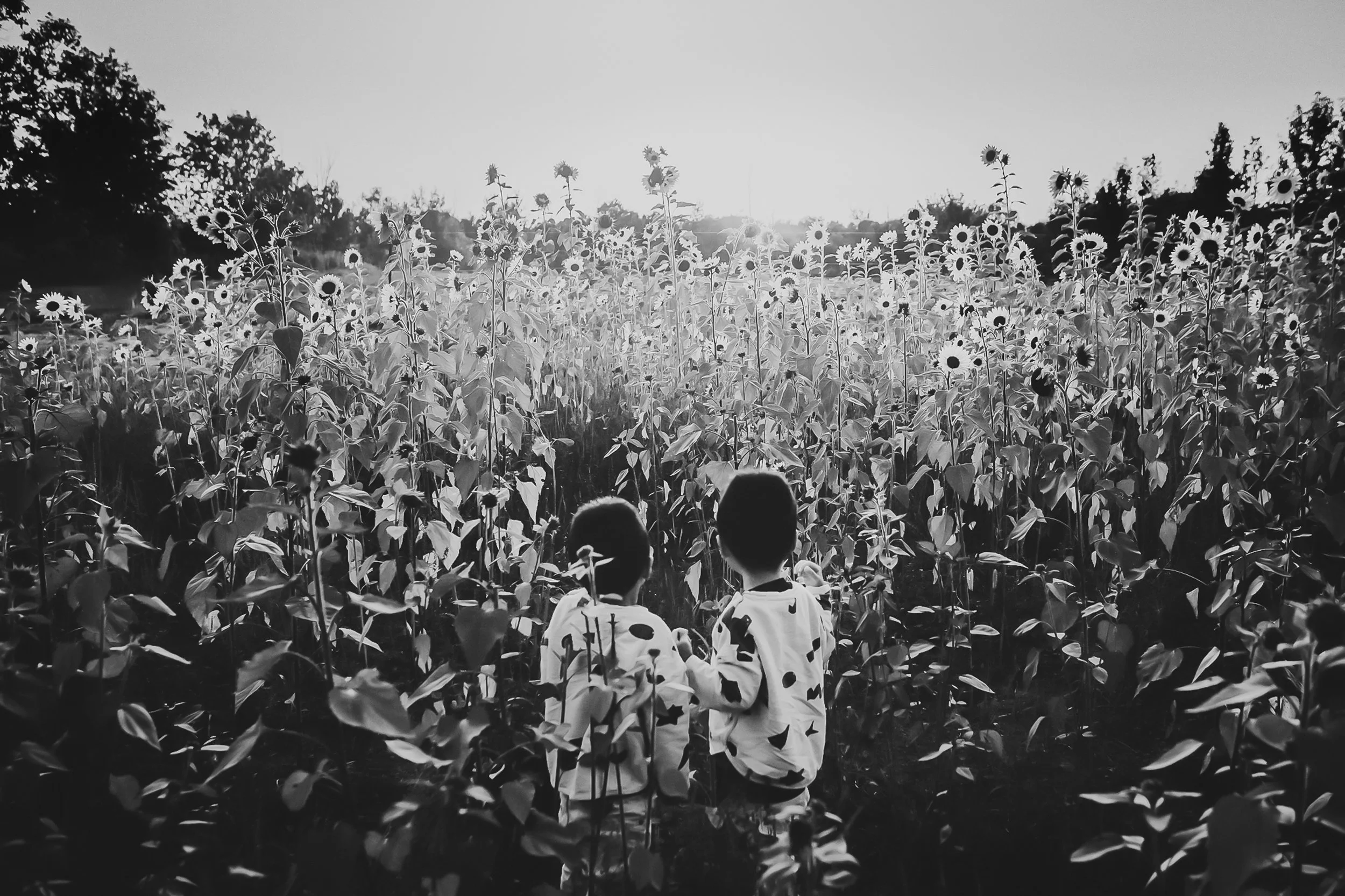 storiesbymintysnaps_arizonachildrensession7.jpg