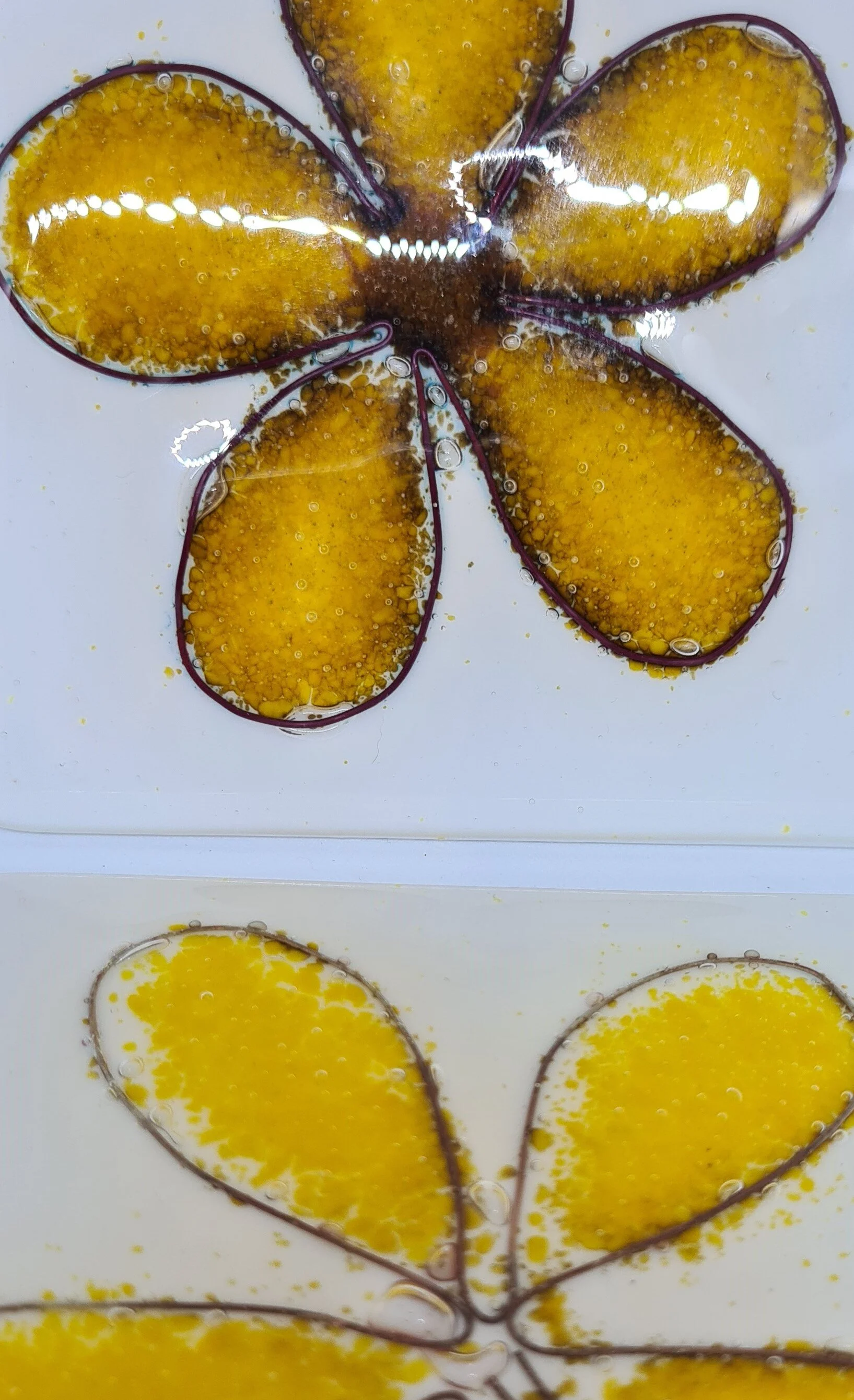 20201115_155547.jpg