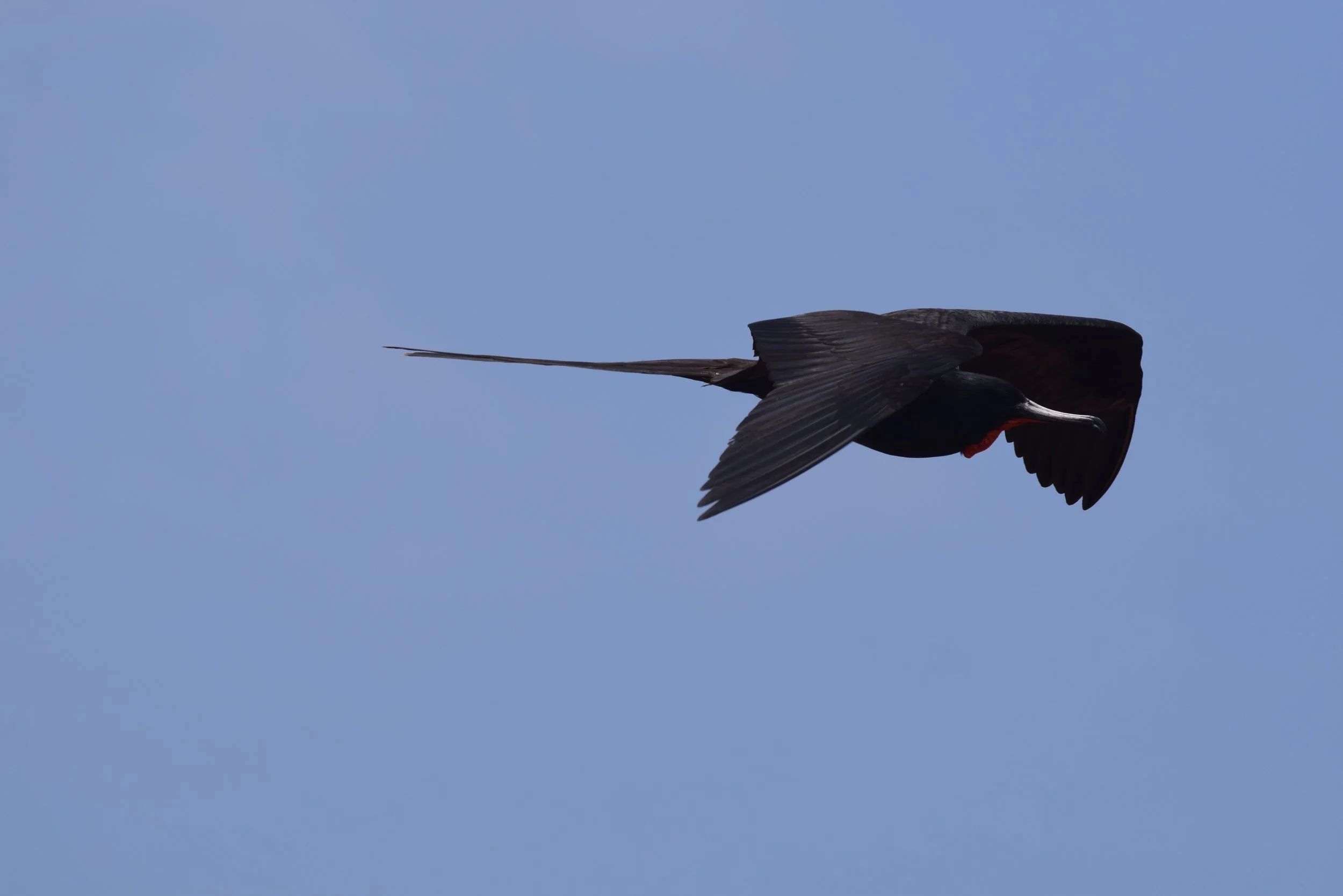 DSC_0628.jpg