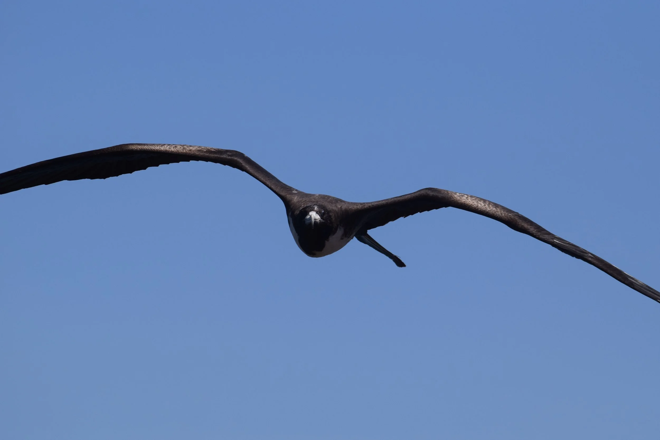 DSC_1020.jpg