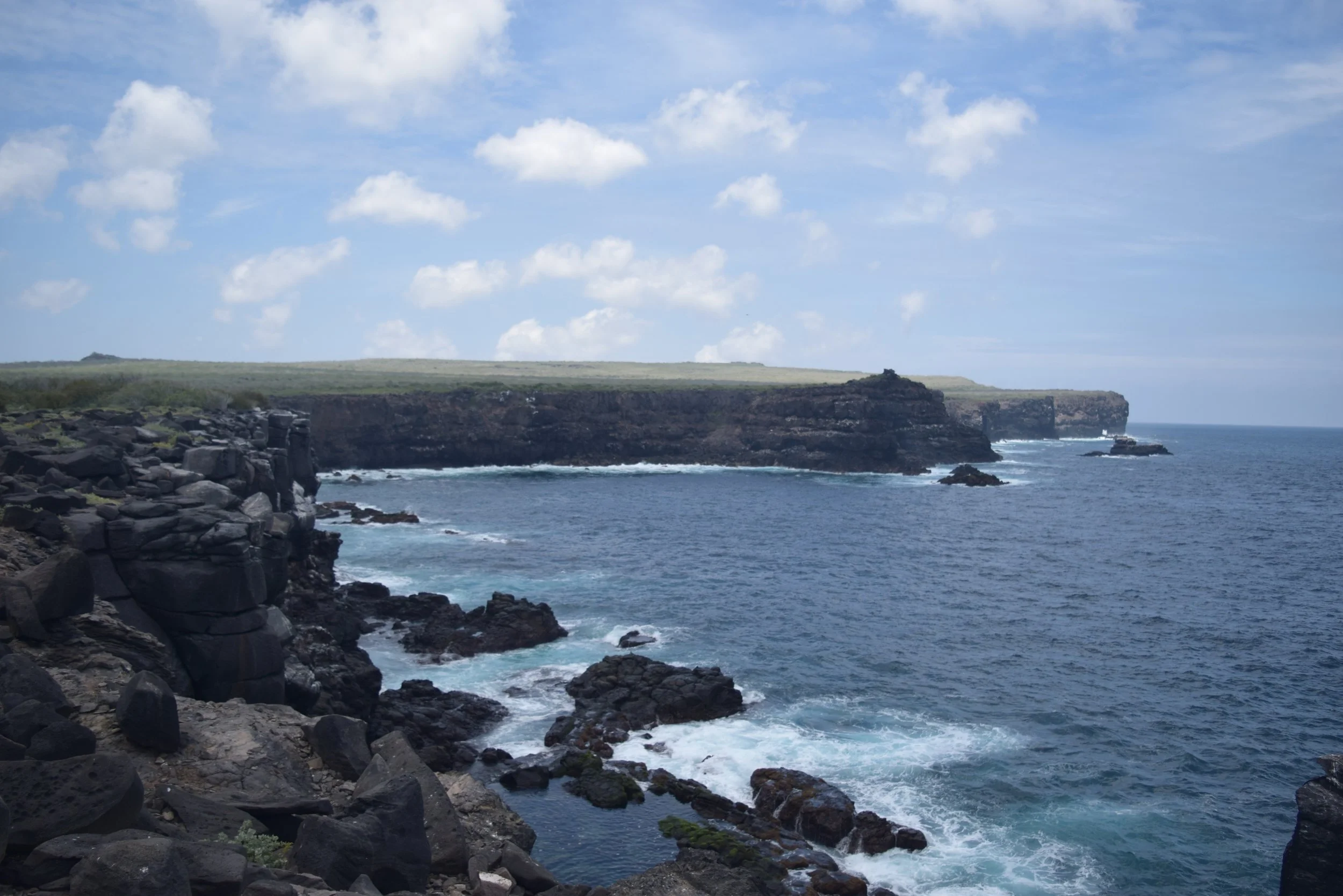 DSC_1176.jpg