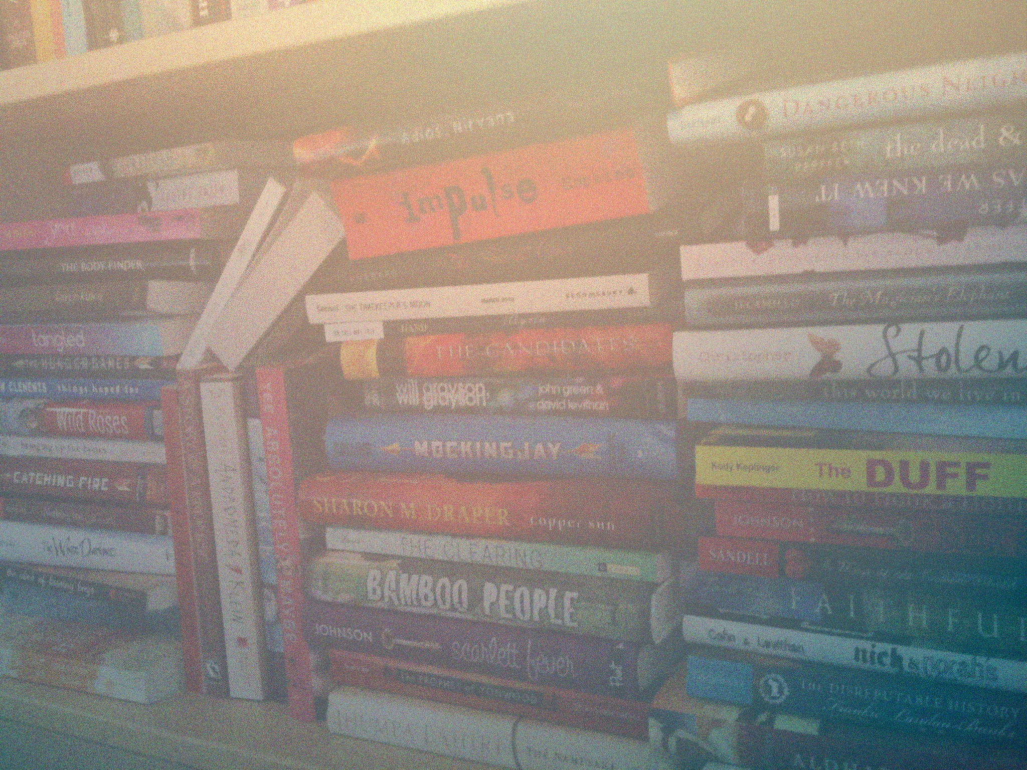 Holly's bookshelves 2.jpg