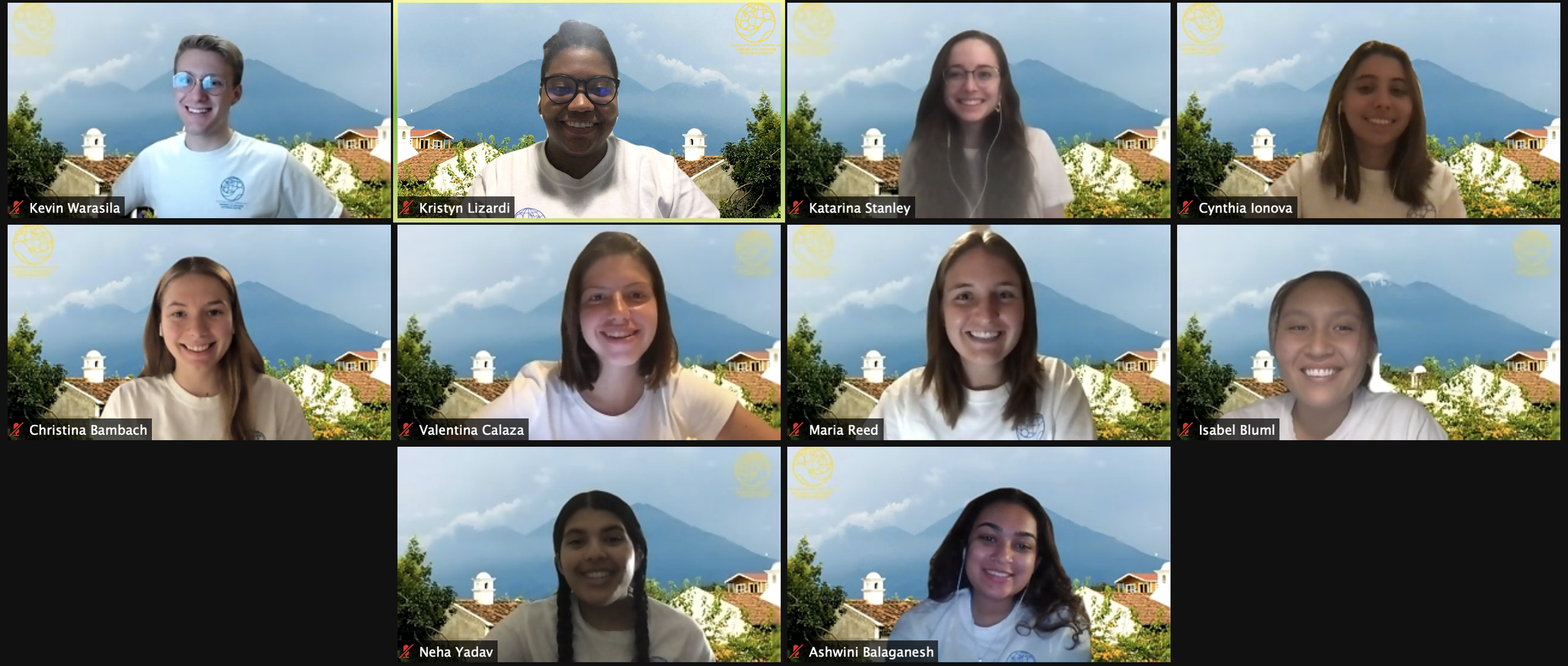 The 2020-2021 executive board meets over Zoom.