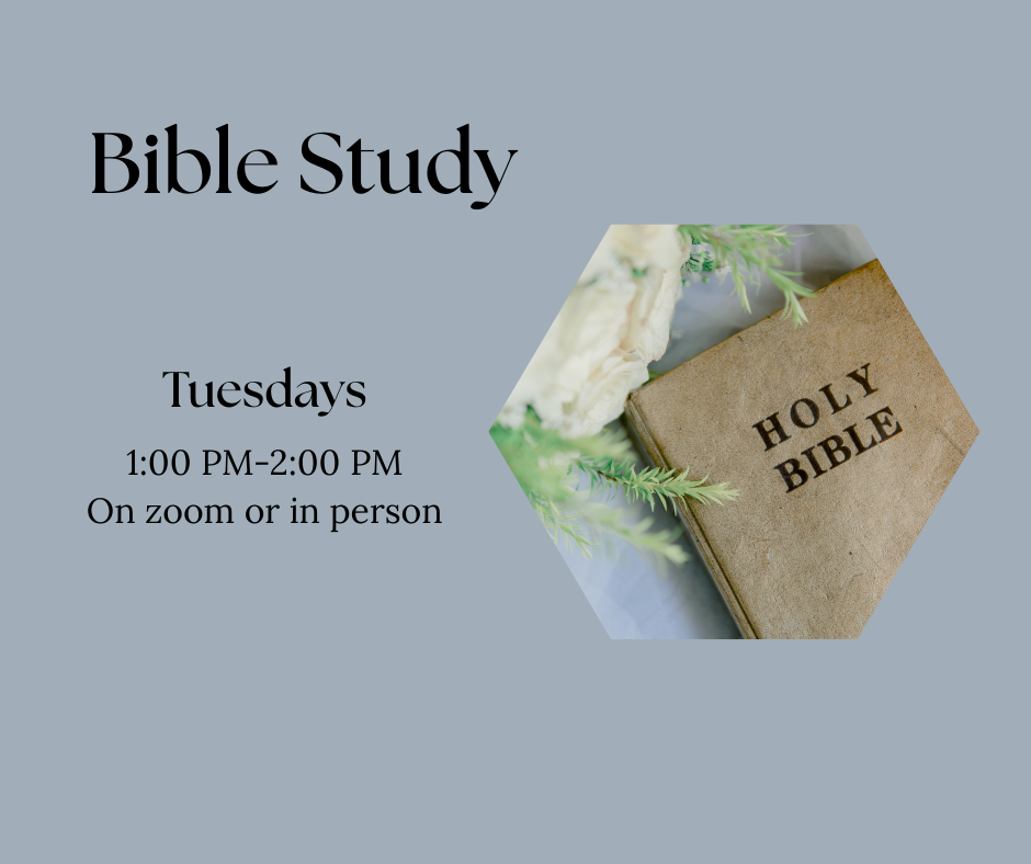 Bible Study 