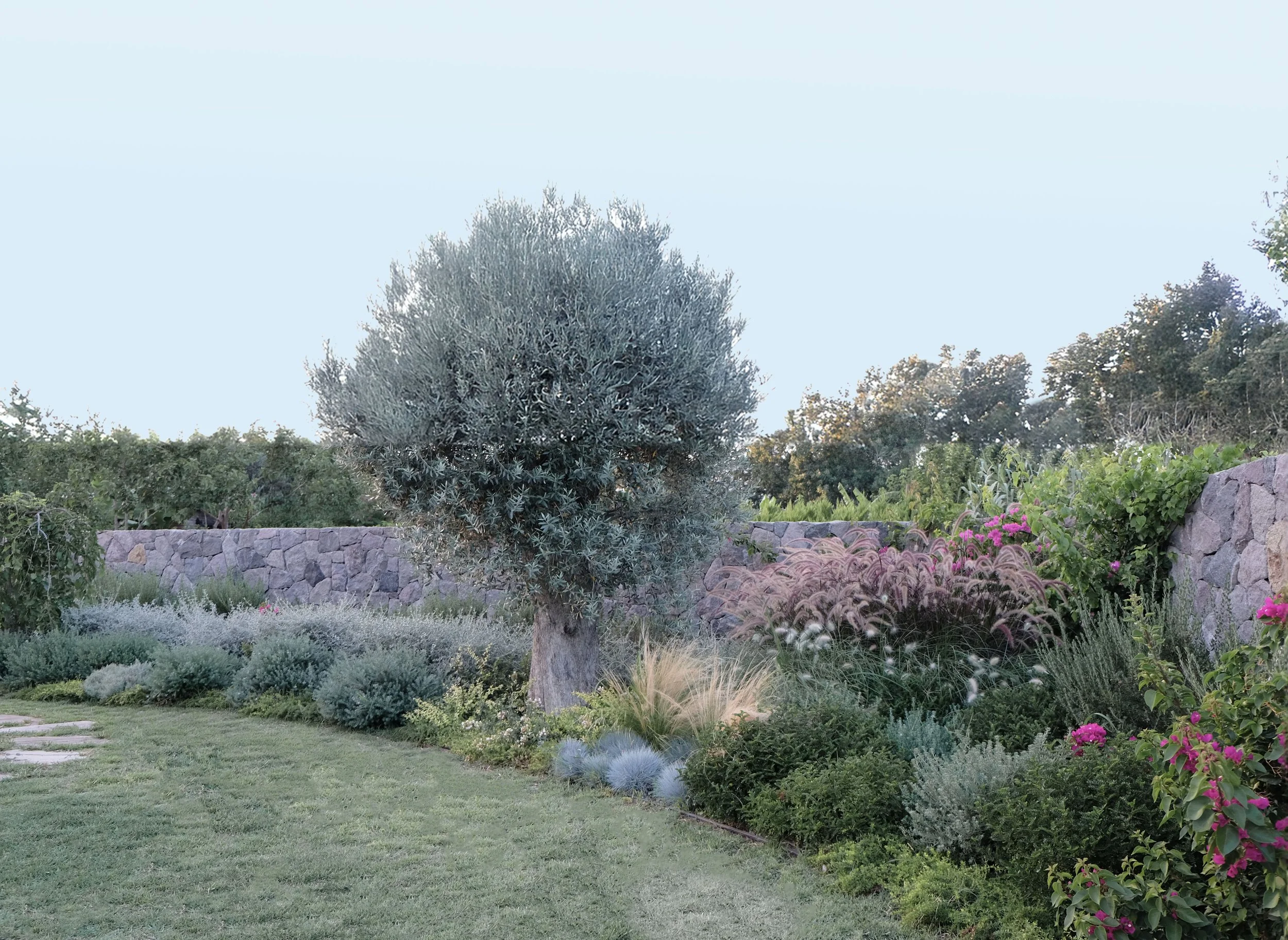 DSCF2207 DDR EDIT.jpeg