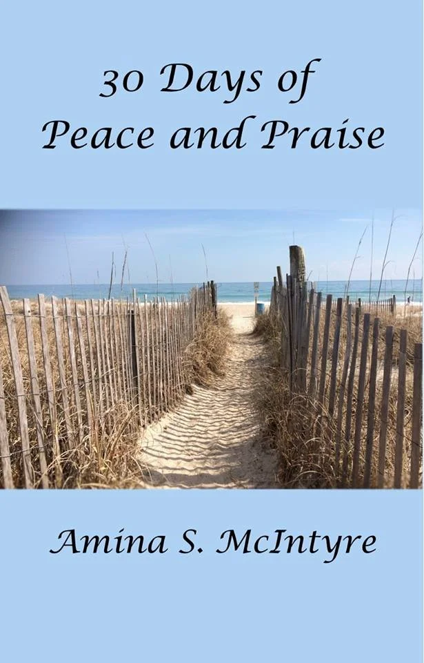 30 Days Book Cover.jpeg