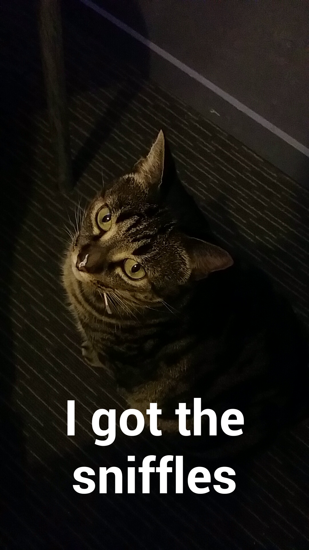 Snapchat--2537289605763944249.jpg