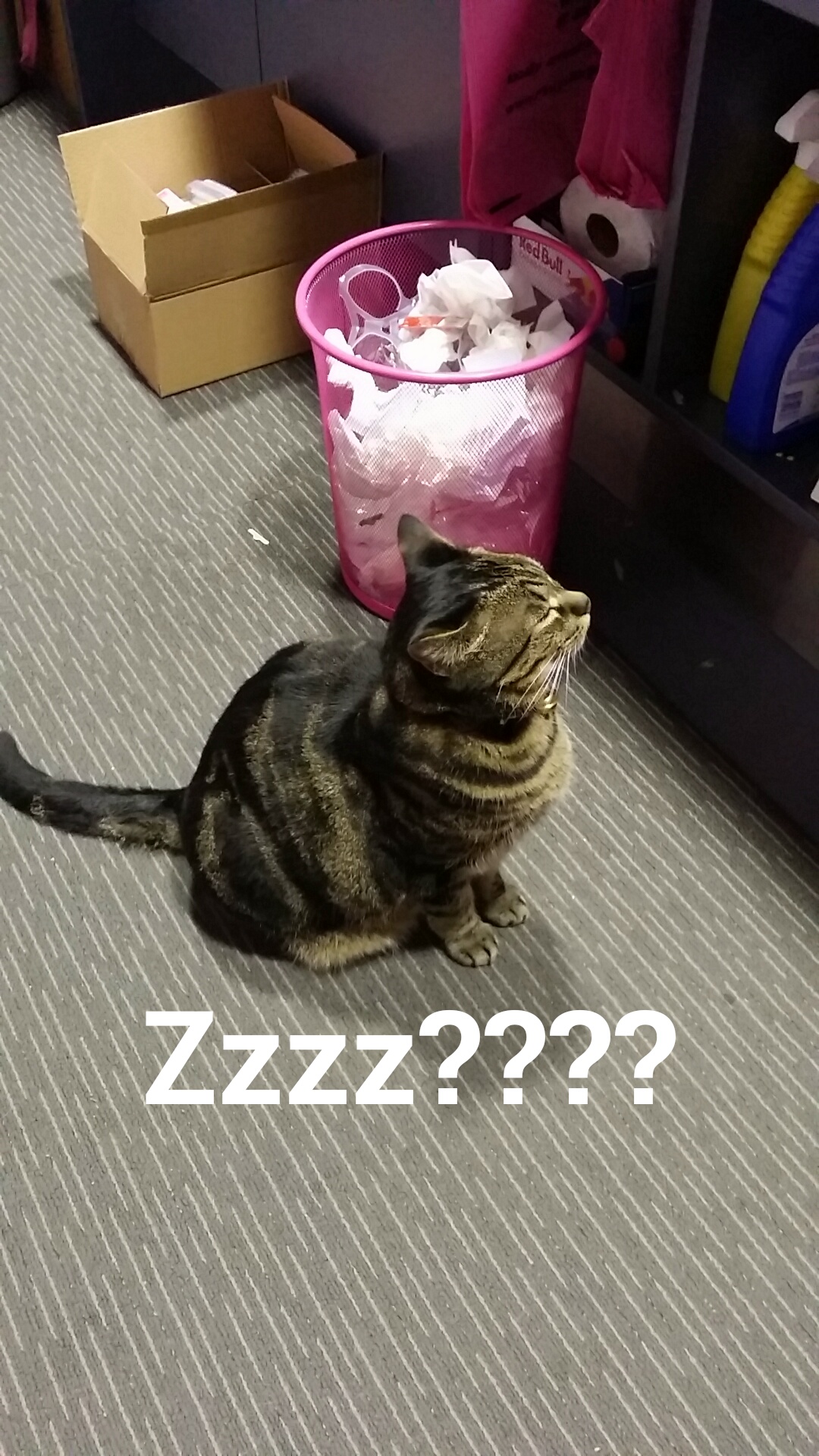 Snapchat-4472293828537914202.jpg