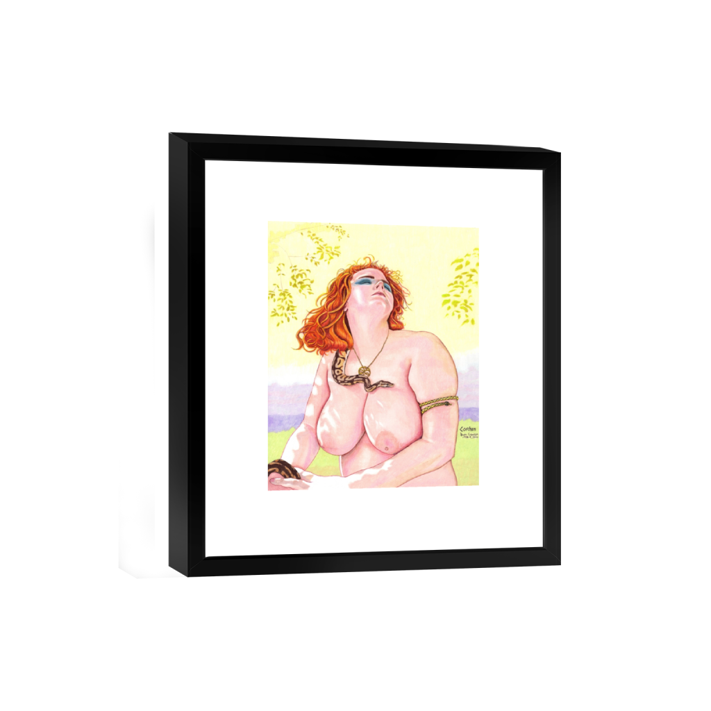 smartframe_rectangle4_5_0_40_3545_4431_0_false_ffffff_0_0.png