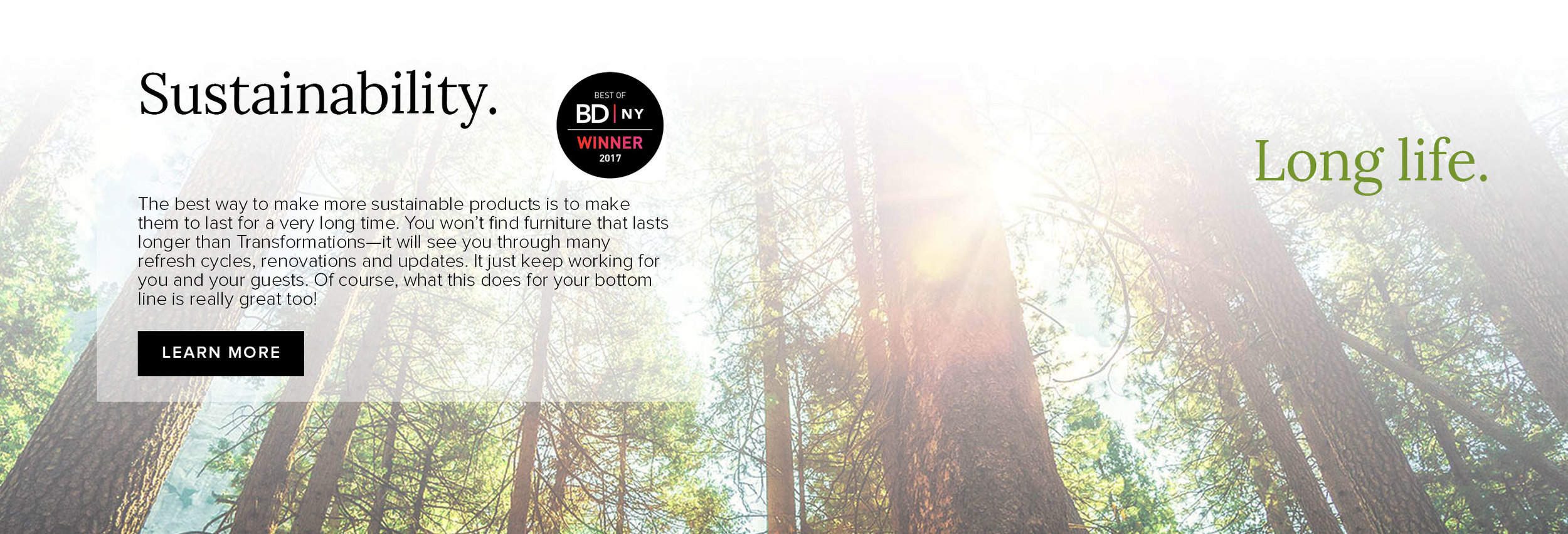banner_grp7_trees.jpg