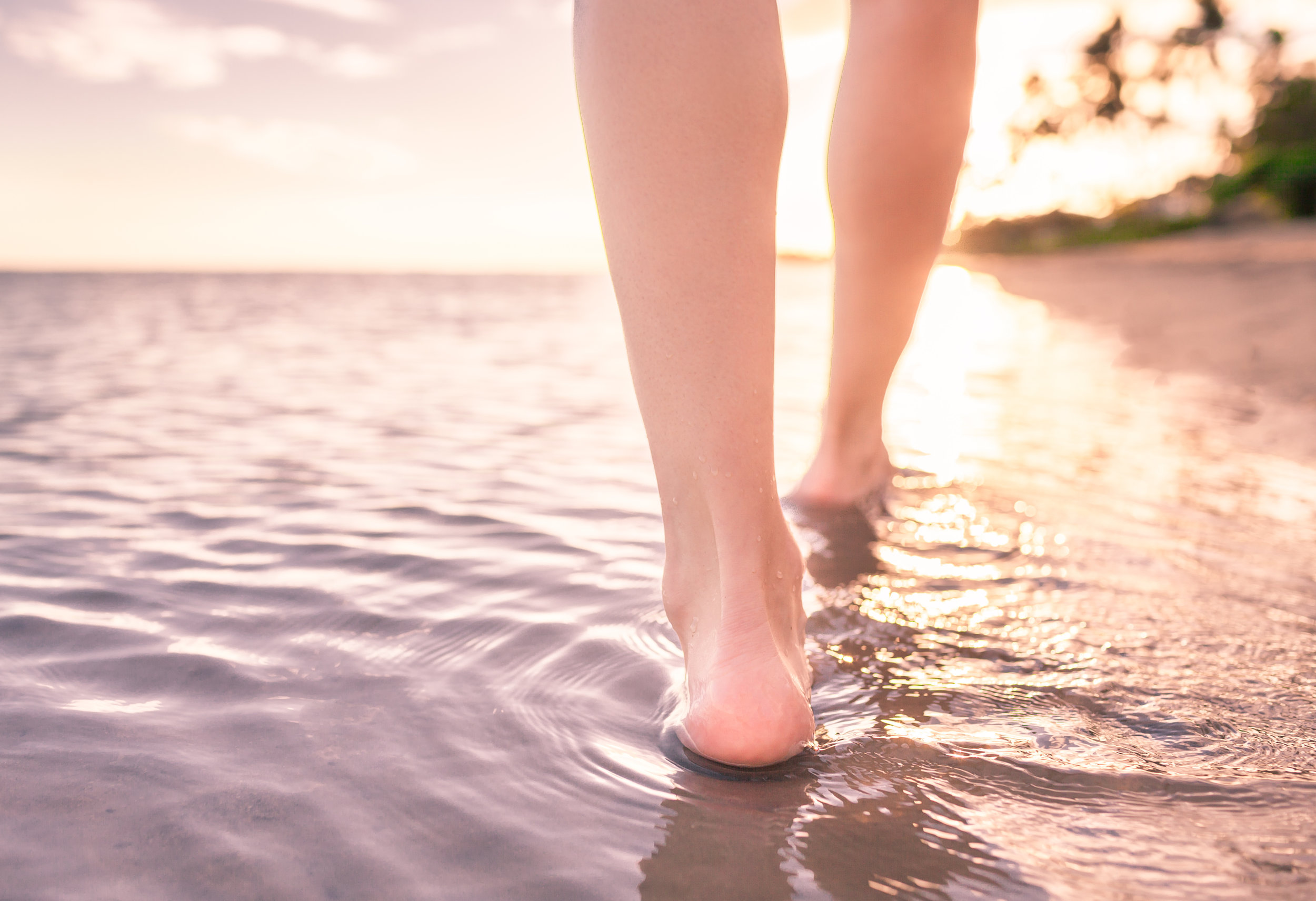 AdobeStock_164420200.jpeg
