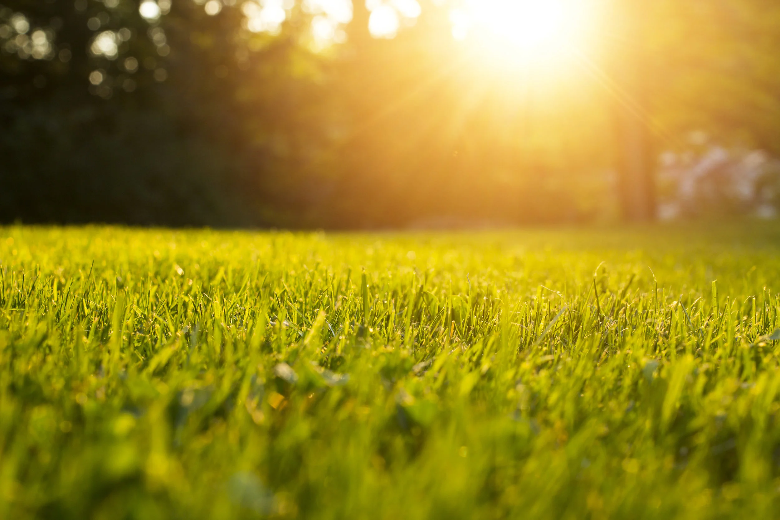 AdobeStock_168137755 (2).jpeg