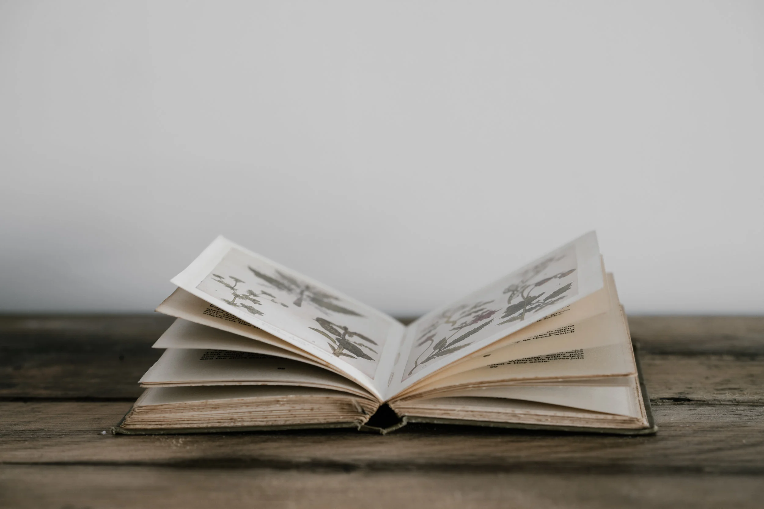 "The Birth"of a Book.....You Were Meant For Me 