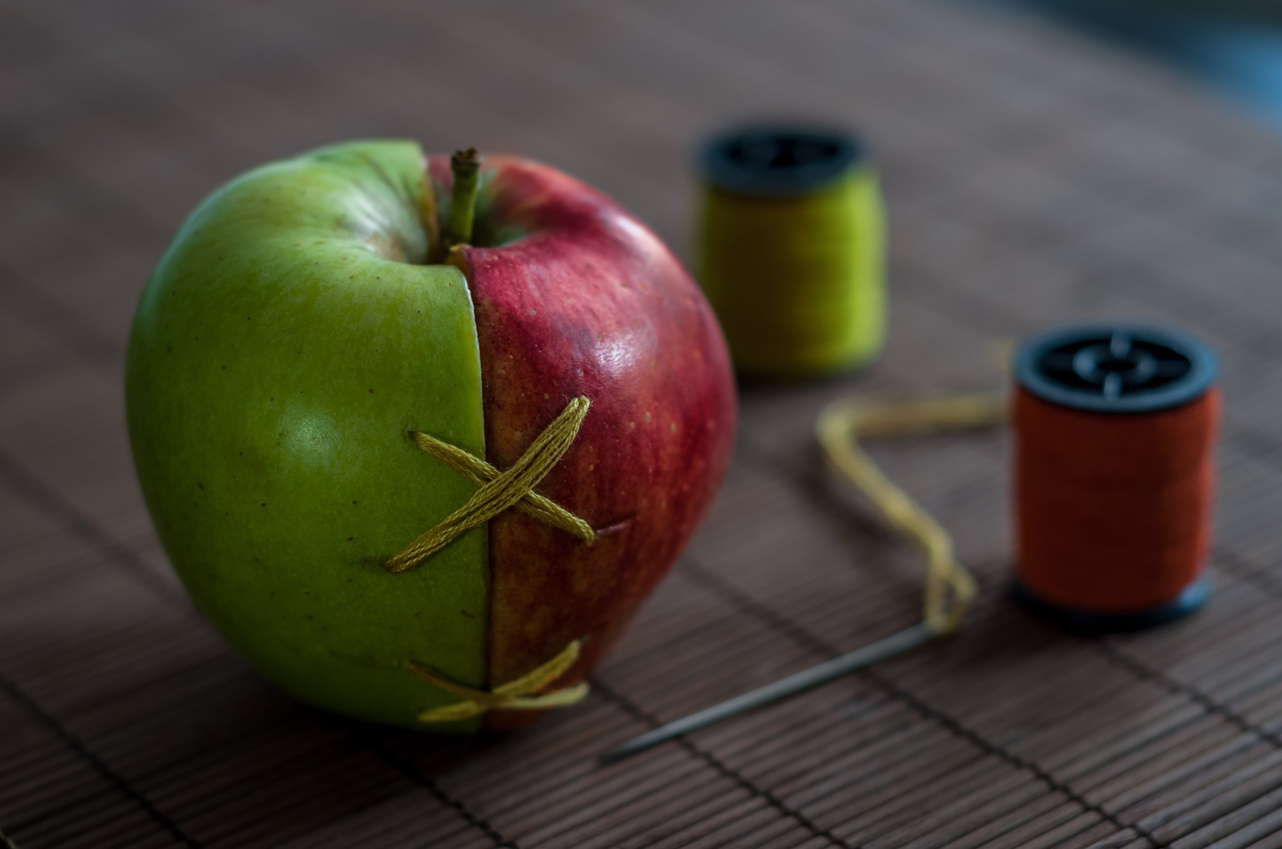 Common Threads: Recipient Parent Embryo Donation