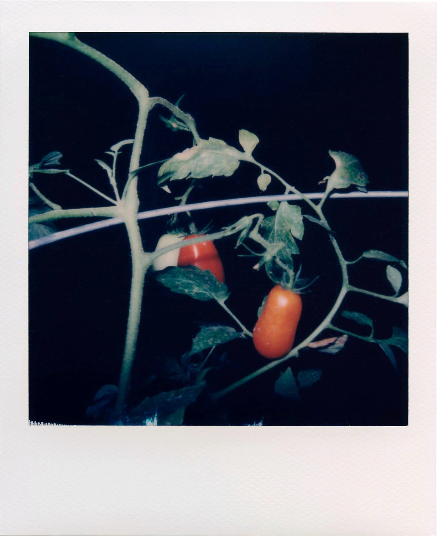 polaroid ig4.JPG