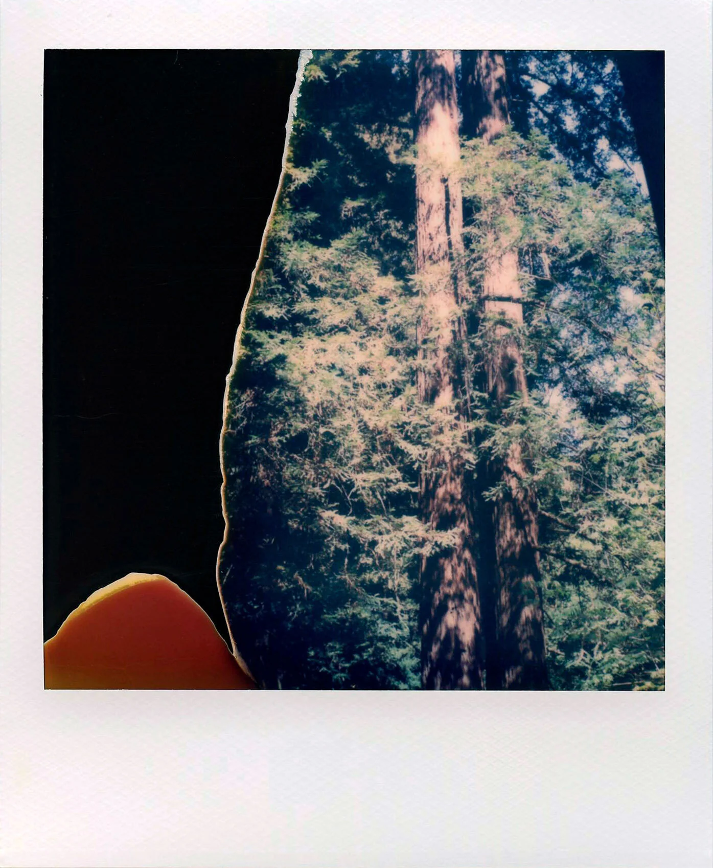 polaroid ig7.JPG