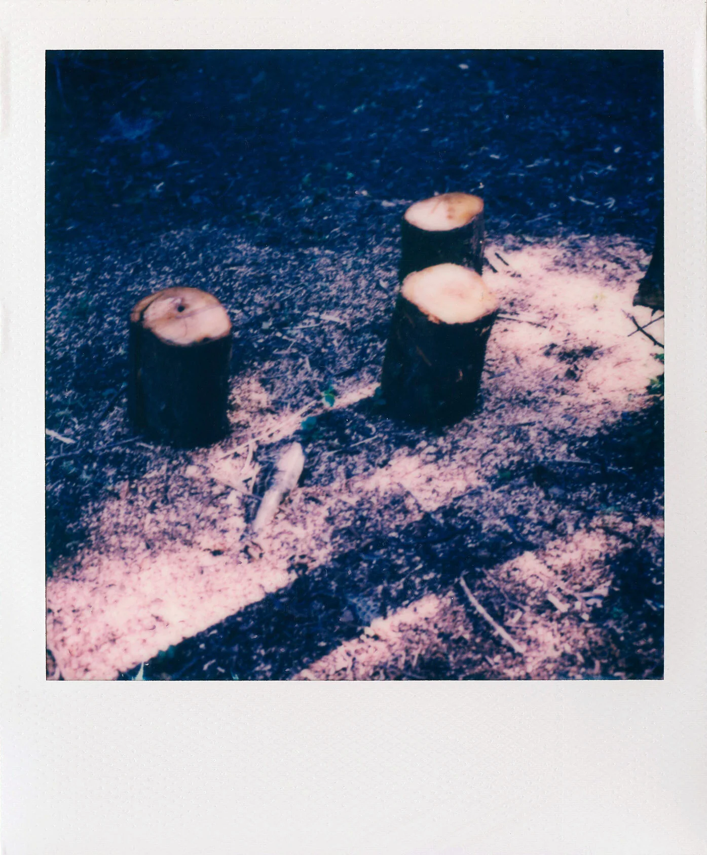 polaroid ig9.JPG