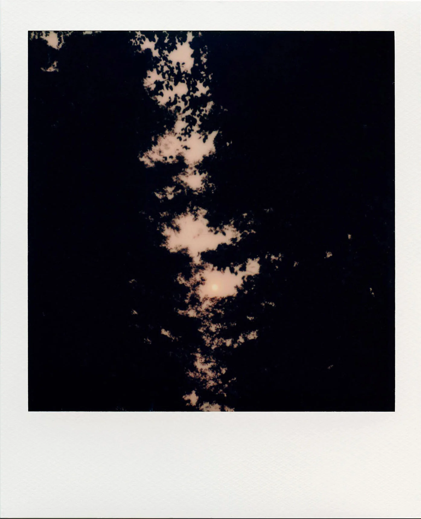 polaroid_16.JPG
