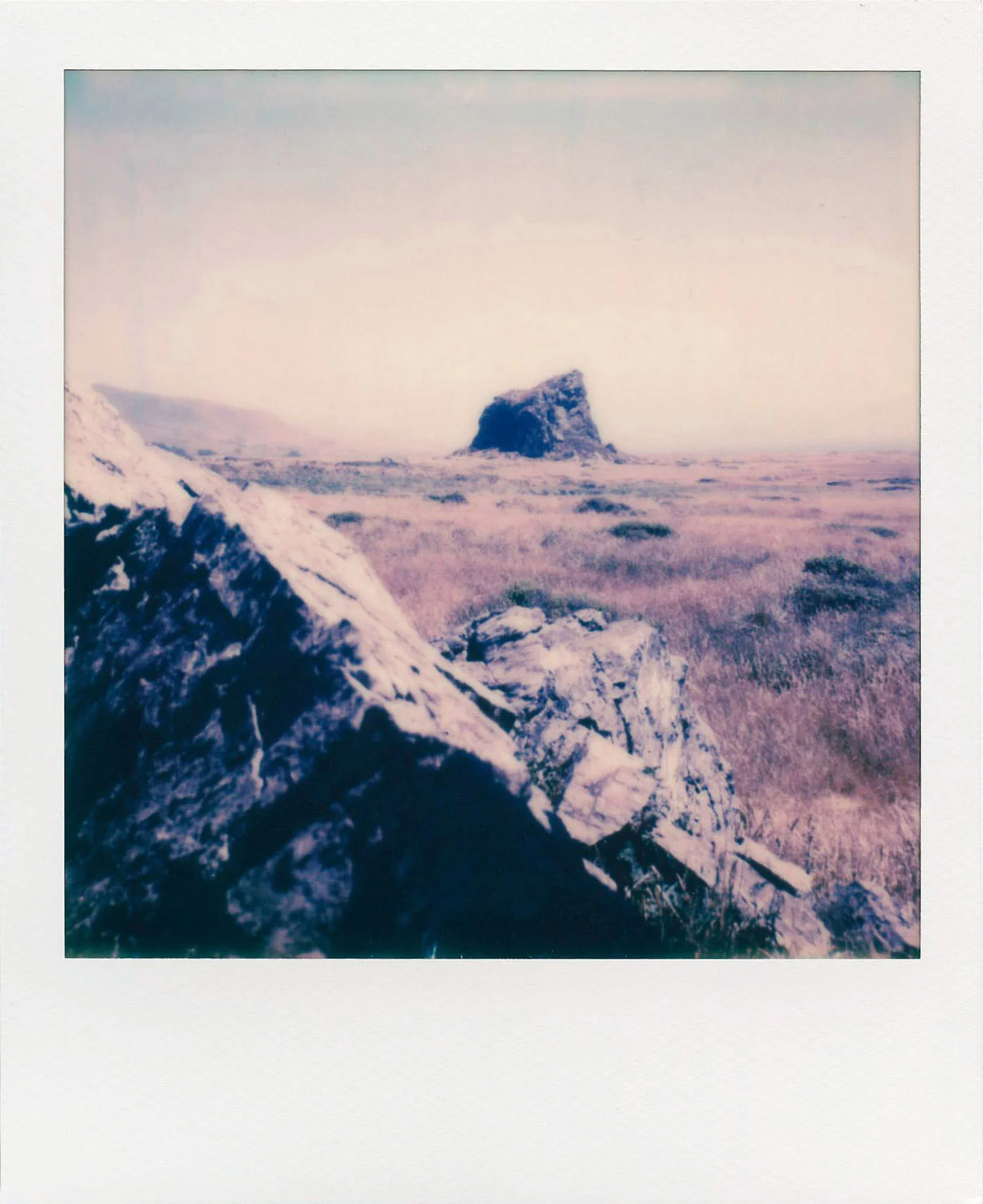  Today I Will Be is a series of Polaroid SX-70 photographs I made to journal and process my experience during the pandemic. 