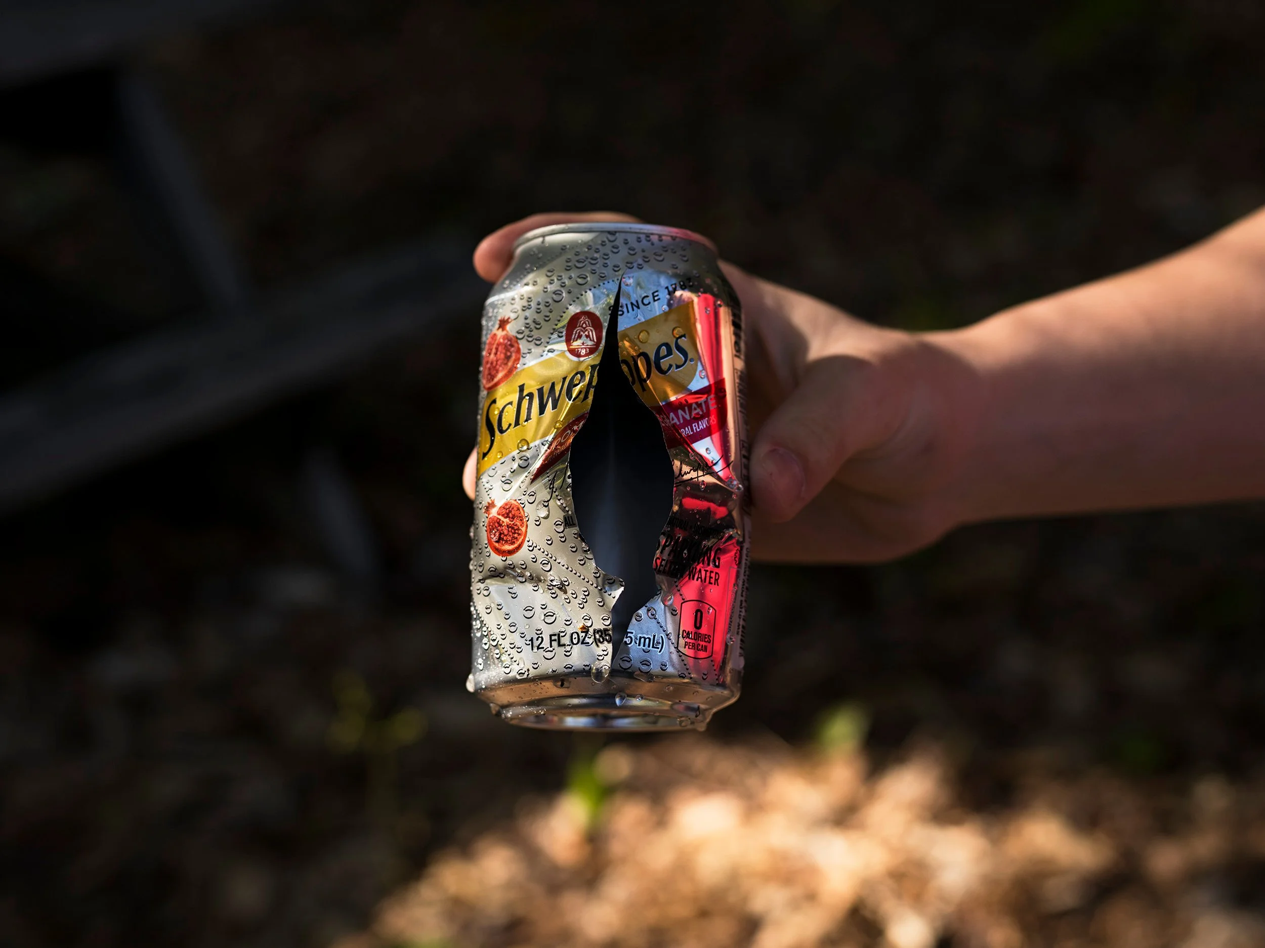 Shot can, 2017