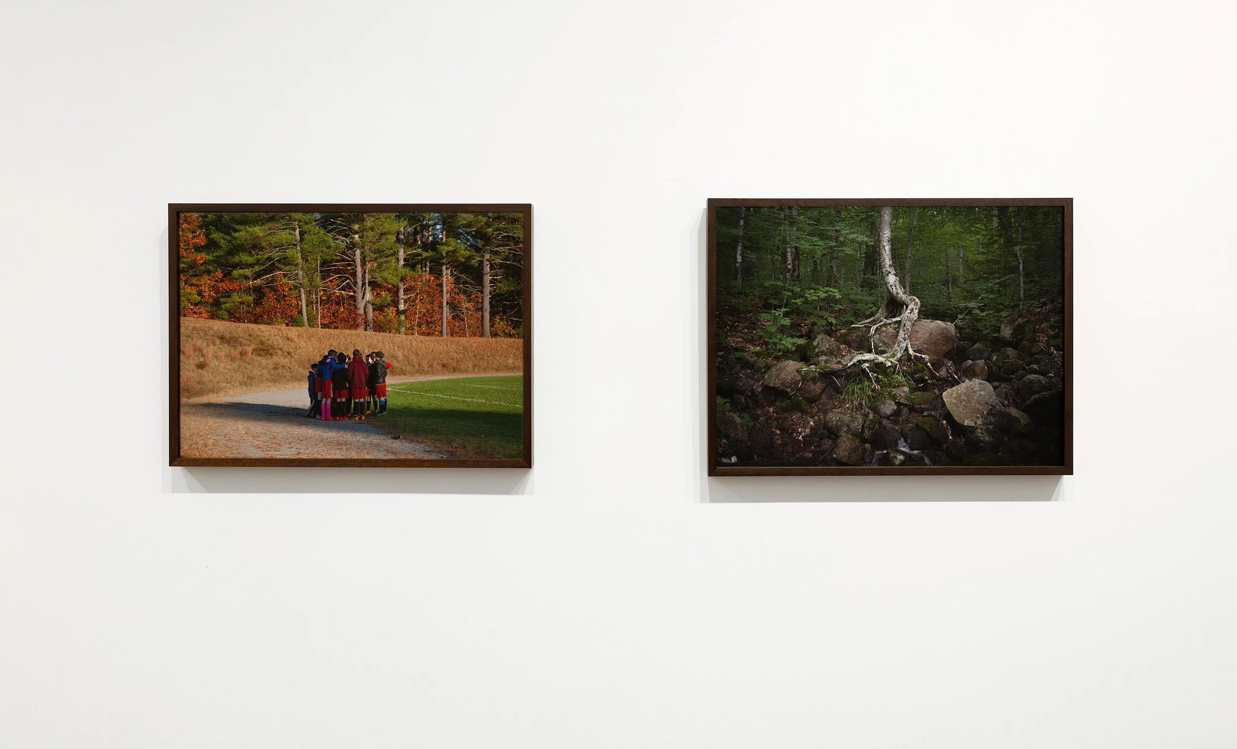 installation shot, 2024