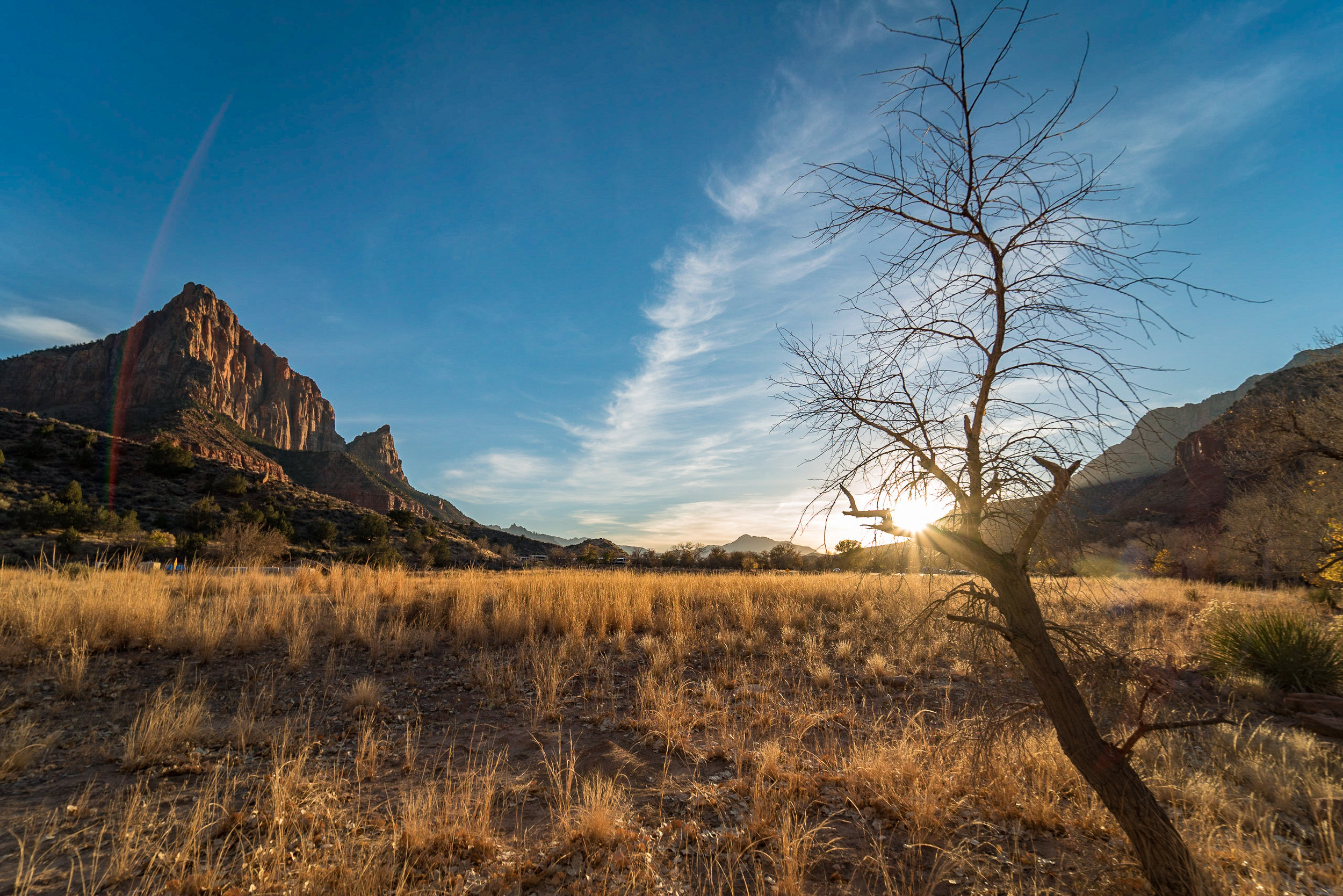 ZionNatlPark-20171202-_DSC0198.jpg