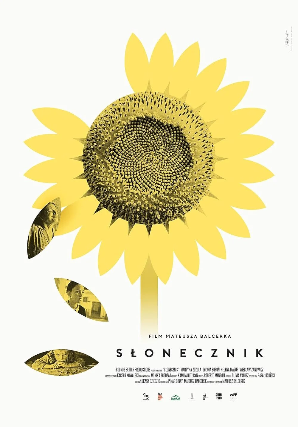 sunflower.jpg