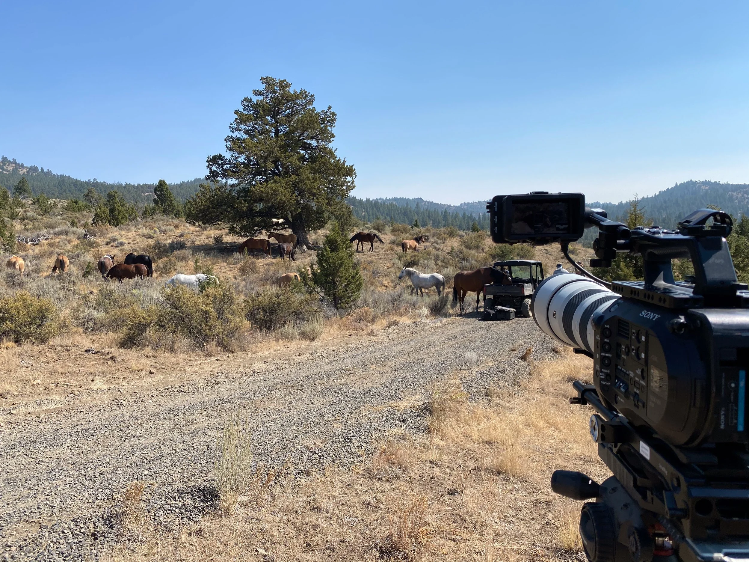 SHS - Farm Stills-092.jpg