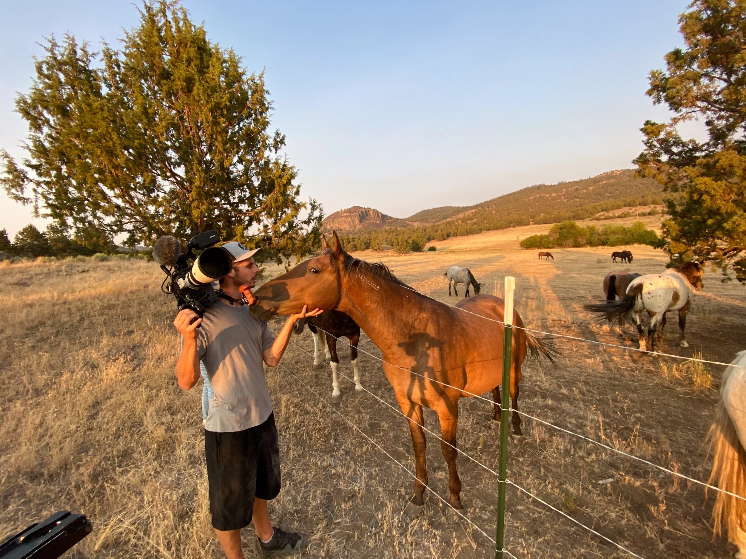 SHS - Farm Stills-095.jpg