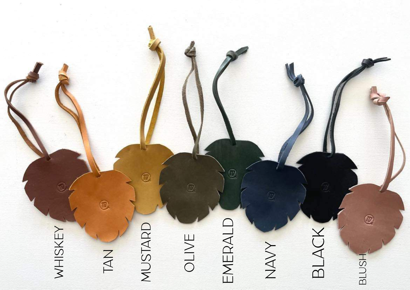 94CC2FE4-F73C-4D37-A8B8-D9C5AB2CE62F